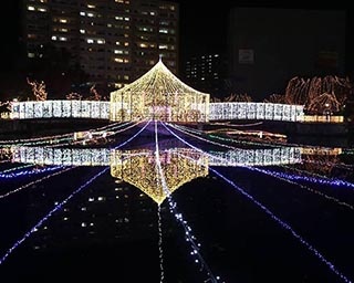 光り輝く世界へ誘う冬の祭典「ハートライトフェスタ2019」が佐賀県の鳥栖市中央公園で開催