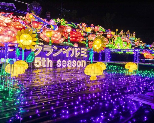 日本一に輝いた圧巻のイルミネーション！「伊豆高原グランイルミ」が今年もスタート
