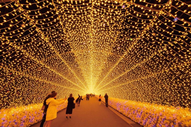 世界の絶景にも選ばれた200mの光のトンネル「華回廊」