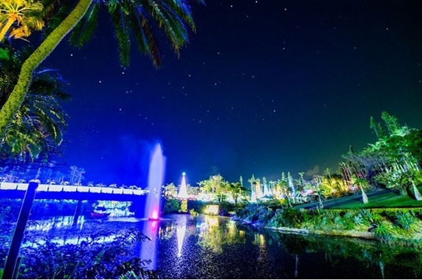 沖縄初！日本夜景遺産認定 幻想的な植物園のイルミネーション / 東南植物楽園
