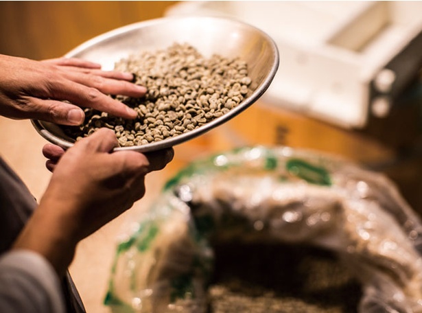 ROASTER'S COFFEE 焙煎屋 平尾店 / ハンドピックは生豆の時点はもちろん、焼いたあとも行う。同店のコーヒー豆は見た目にも美しい