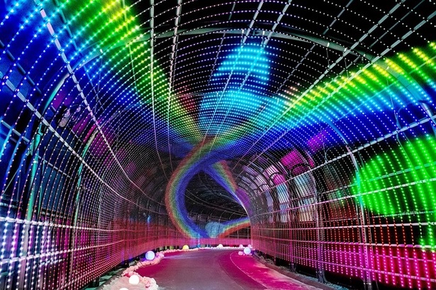 LED電球100万個を使った光のトンネル「Wonder Tunnel」から広がる世界を楽しんで