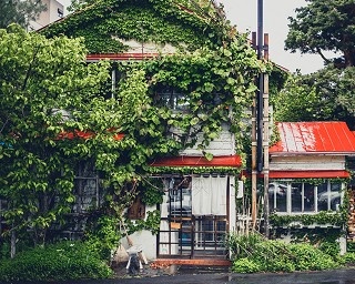 「コーヒー代が入場料のテーマパーク」、北海道のカフェ「森彦」がスタバより人気なワケ