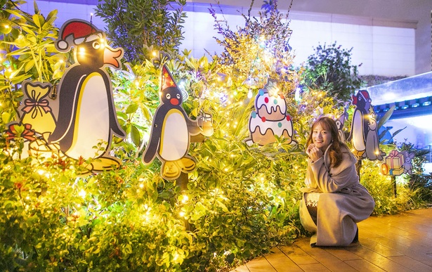 画像13 21 サンシャイン水族館のクリスマスを 世界一有名なペンギン ピングー が盛り上げる ウォーカープラス