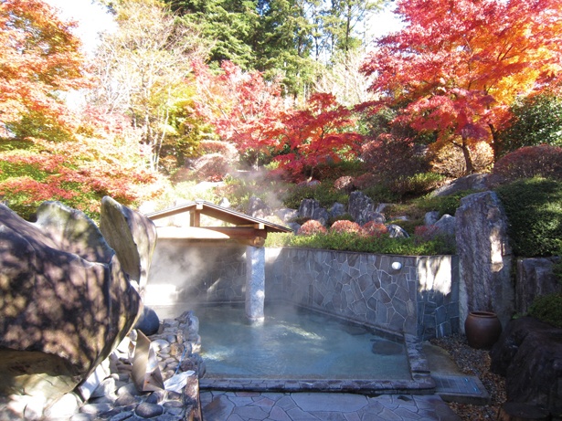 【写真を見る】「飛騨川温泉 しみずの湯」の、せせらぎと山の景観を生かした露天風呂。秋は華やかな紅葉に包まれる