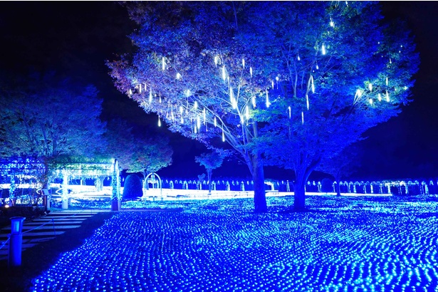 光輝くハイジの世界 山梨県北杜市で 光のページェント 開催 ウォーカープラス