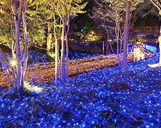 約15万球のLEDが輝く「きらめきのみち」が岡山県倉敷市で開催中