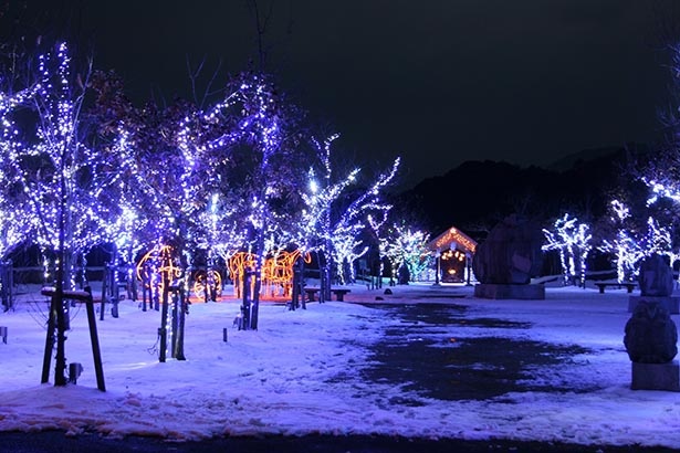 自然の景観を活かした「三間の中山池自然公園イルミネーション」が愛媛 