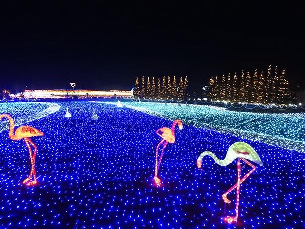 音楽と光が奏でる冬のファンタジー 埼玉県の東武動物公園で ウインターイルミネーション 開催中 ウォーカープラス