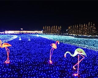 音楽と光が奏でる冬のファンタジー！埼玉県の東武動物公園で「ウインターイルミネーション」開催中