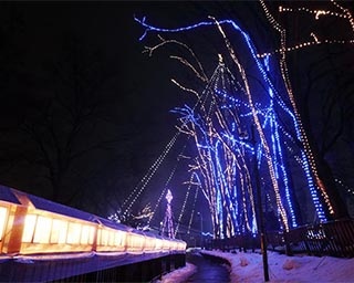 シンボルの槻の木がクリスマスツリーに変身！秋田県で「第32回槻の木光のファンタジー」開催