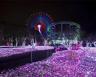 約140万球のイルミネーションが華やかに彩る「キラメキノセカイ2nd」が広島県福山市で開催中