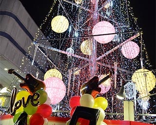 巨大なクリスマスツリーが登場！高知県の高知市中央公園で「イルミネーションフェスタ2019」開催
