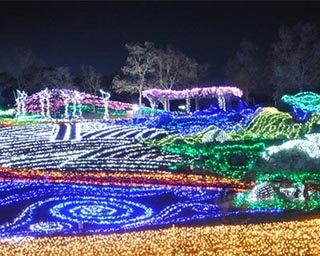 冬の国営讃岐まんのう公園を彩るイルミネーション！香川県で「ウィンターファンタジー」開催中
