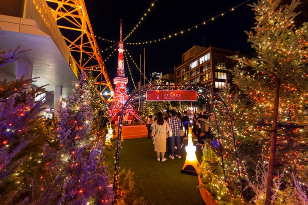 温かい光”が輝く恒例イルミも！東京タワー冬の注目イベントをチェック