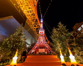 “温かい光”が輝く恒例イルミも！東京タワー冬の注目イベントをチェック