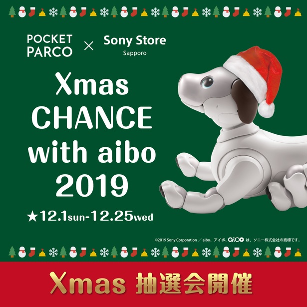 POCKET PARCO×Sony Store Sapporo Xmas CHANCE with aibo 2019
