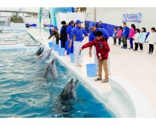 鴨川シーワールドで小学生限定の体験学習プログラム「ウィンタースクール」を実施！
