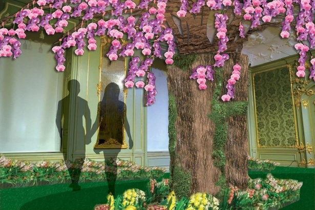 「大胡蝶蘭展」の新スポット「蘭でお花見」のイメージ