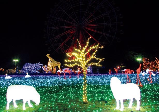 光の花畑は広さ8000平方メートルを誇る / 東武動物公園