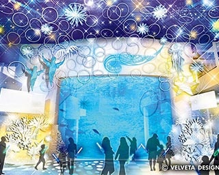 東京近郊の水族館で楽しめるイルミネーション4選！”流氷の天使”クリオネのオブジェは必見