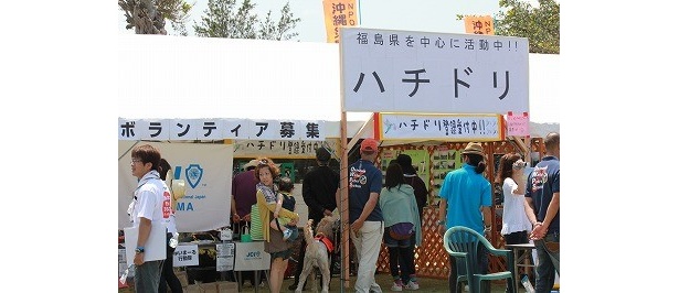 会場内にはボランティアを募るブースも