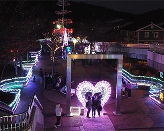 遊歩道をきらびやかに彩る「西部緑道イルミネーション」が福井県福井市で開催中