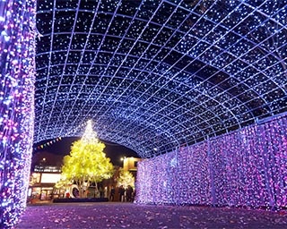 市街地をライトアップする「サガ・ライトファンタジー」が佐賀県佐賀市で開催中