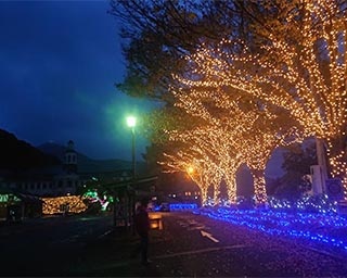 きらめく光に彩られる「なるとドイツ館イルミネーション」が徳島県の鳴門市ドイツ館で開催中