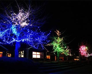 木のおもちゃ美術館に灯る優しい光！秋田県由利本荘市でクリスマスイルミネーションが点灯中