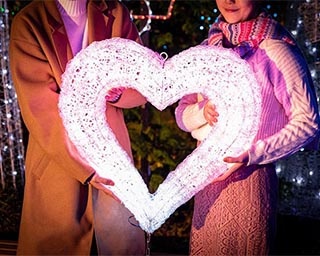 “恋人の聖地”の夜を100万球の輝きが彩る「フラワーパーク イルミネーション」が茨城県石岡市で開催中