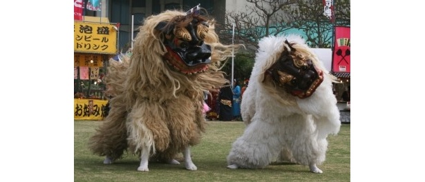 獅子舞2