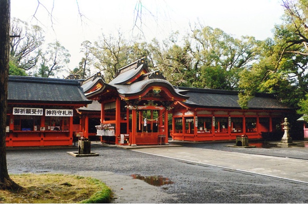 【写真を見る】枚聞神社 / 周囲の緑に映える、朱塗りの社殿