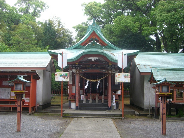 揖宿神社 / 揖宿神社の社叢として鹿児島県天然記念物に指定されている