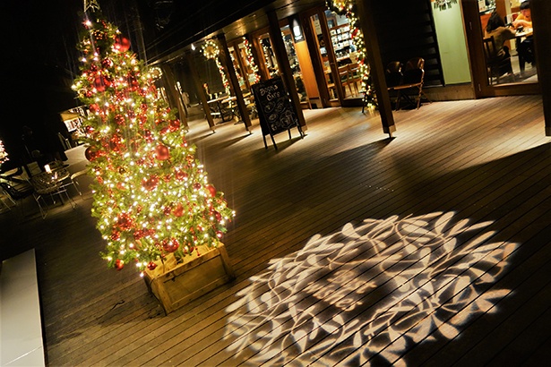 画像9 12 ランタンの優しい光が幻想的 軽井沢のクリスマスイルミネーション 星降る森のクリスマス 体験レポート ウォーカープラス