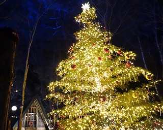 ランタンの優しい光が幻想的！軽井沢のクリスマスイルミネーション「星降る森のクリスマス」体験レポート