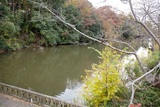 城址のすぐ横にある南郷池はかつての堀の名残。周辺は公園として整備されており、春は桜の名所でもある