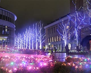 約35万球のLEDの光が幻想的な「徳島文理大学イルミネーション」が徳島県で開催中