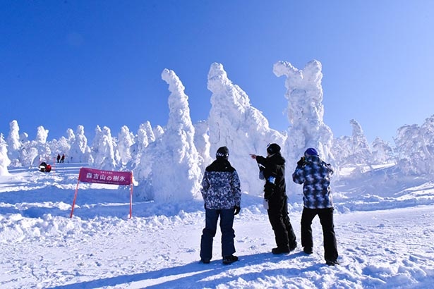 【写真】人の背丈よりも大きな樹氷に感動