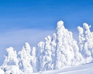 秋田県北秋田市の森吉山阿仁スキー場で樹氷群を観賞しよう