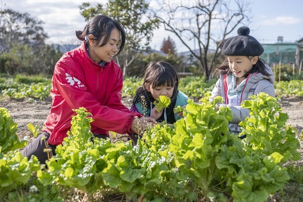 岡本さんが摘んでくれたサンチュのにおいを確かめる恵理ちゃん。「どんな味がするんだろう?」