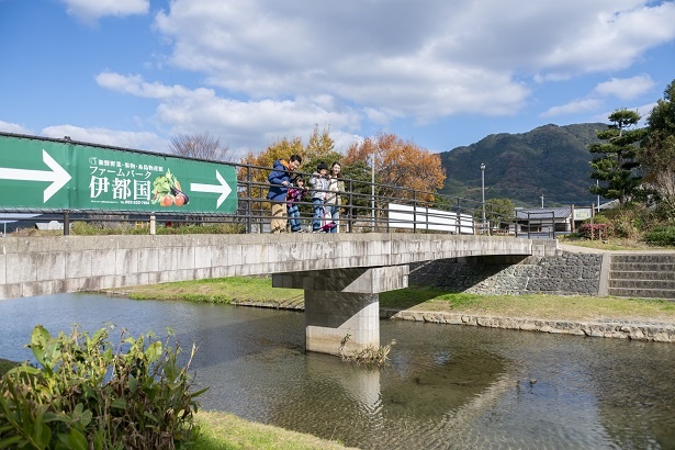 みんなで橋の上から川を覗き込む。「水がキレイだから、川の底まで見えるね」と若菜ちゃん