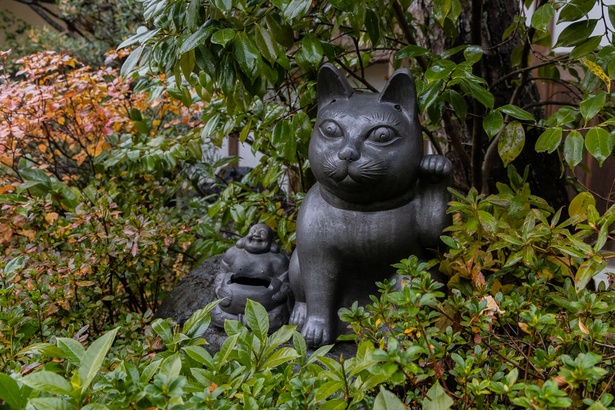 妙心寺 退蔵院の入り口にある招き猫。こうした遊び心もまた京都の魅力だ