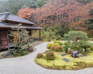 今が見ごろ！「そうだ 京都、行こう。」冬の京都の楽しみ方を体験レポート