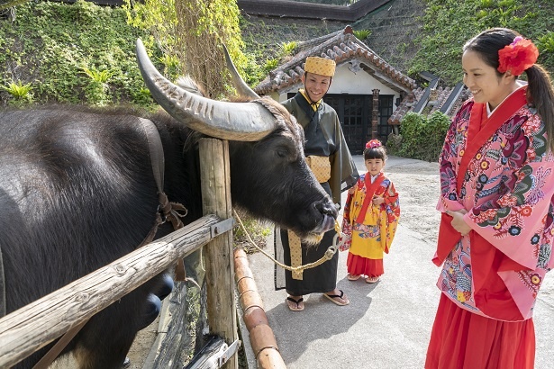 「この牛さん、パパより大きいね!」と、ちょっと離れたところから眺める