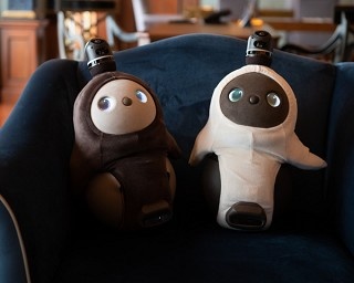 最新ロボット『LOVOT』と宿泊!? ウェスティンホテル東京での変わったスイートプラン
