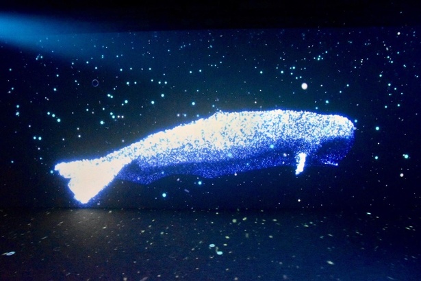 ロマンチックな深海世界を巡る Ocean By Naked 光の深海展 に行ってみた ウォーカープラス