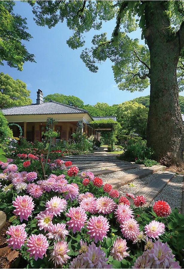 四季折々に咲く花も見どころ / グラバー園