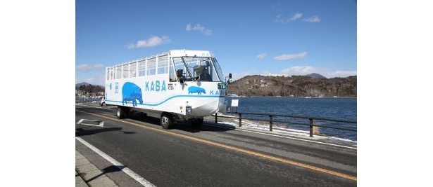 【写真】ポップな車両で目立ち度大♪