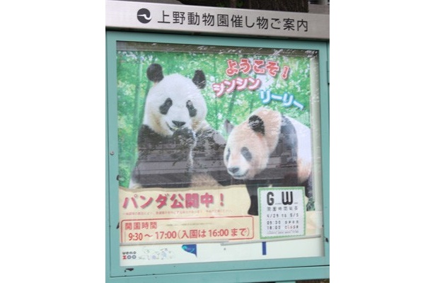 やはり“パンダ目当て”に来た人が多いようだ